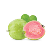 Reggae Fruit-tart-Ingredients-guava